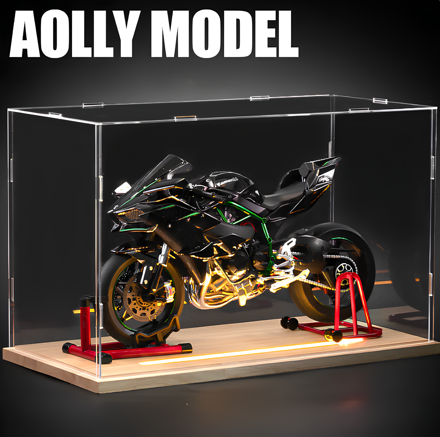 Ninja H2R Model